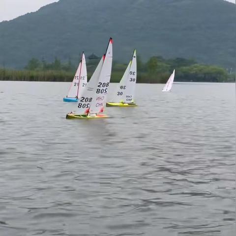 温州市手指切除手术的长尾关键词有什么