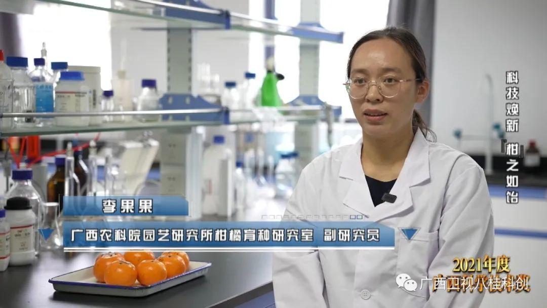 柑橘栽培技术规程内容是什么样的（代表中国的饮料有哪些）