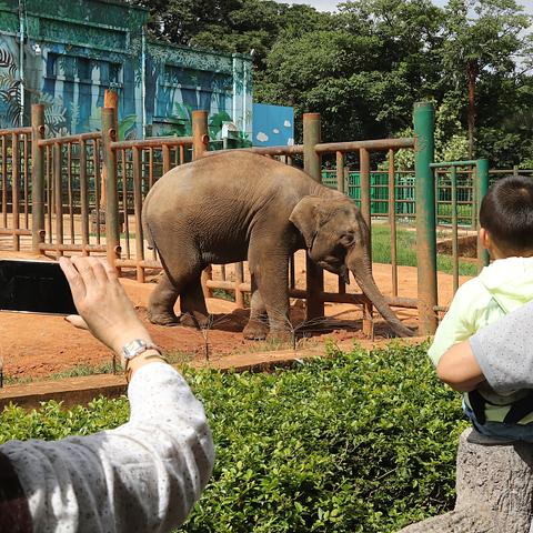 昆明市植物饲料销售店铺的长尾关键词有什么