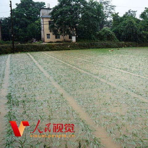 桂林无牌拖拉机销售相关长尾关键词有哪些