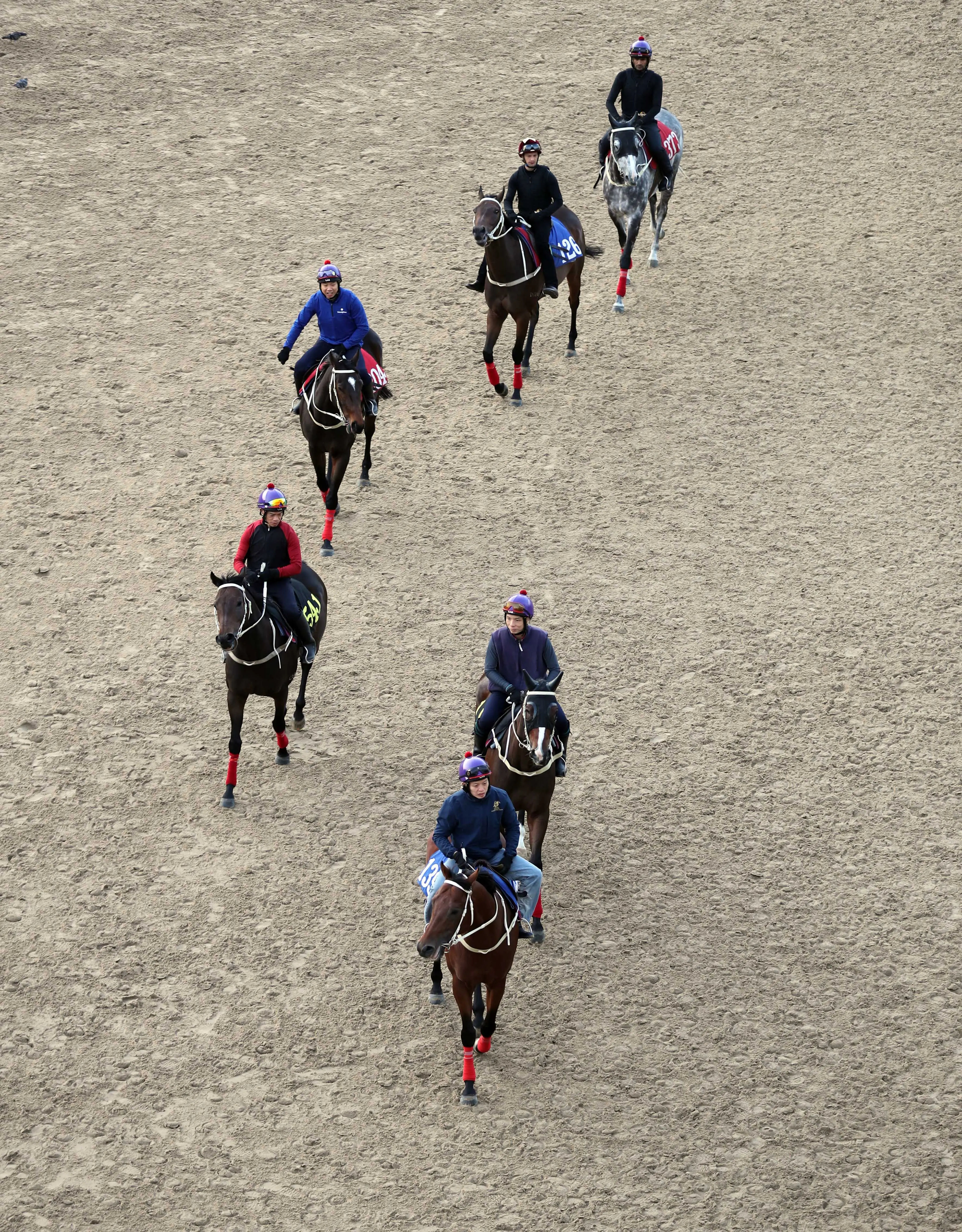 外贸公司如何运作 外贸公司怎么运作模式