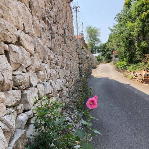 济南市拆室内门多少钱