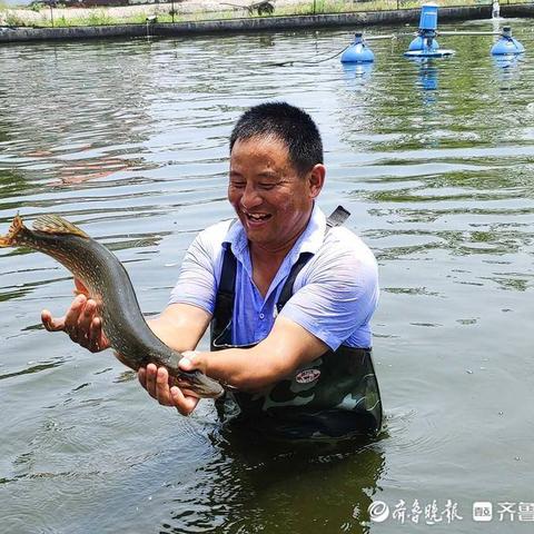临沂市白斑精湛.中科的长尾关键词有哪些