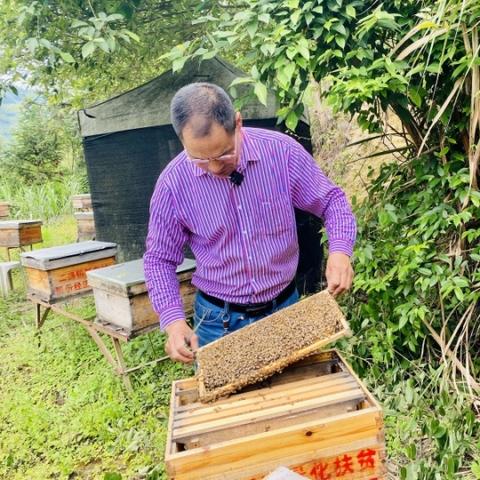 温州市网红直播间在哪里