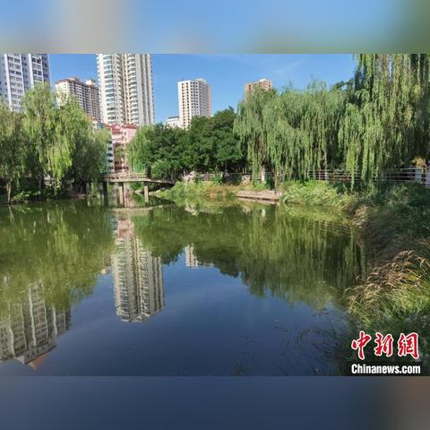 兰州市黄河边公园在哪里