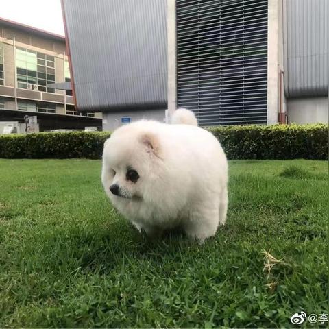 多航司回应泰国机票退改：无政策调整 退票按客票规则处理