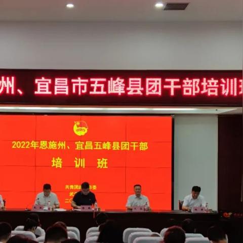 武汉市都有哪个县