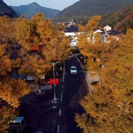 济南市哪里卖羊毛衫