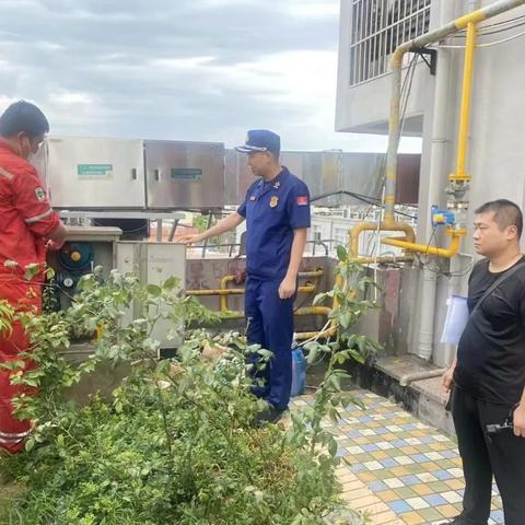 关于安徽阜阳在上海救援马相关关键词有哪些
