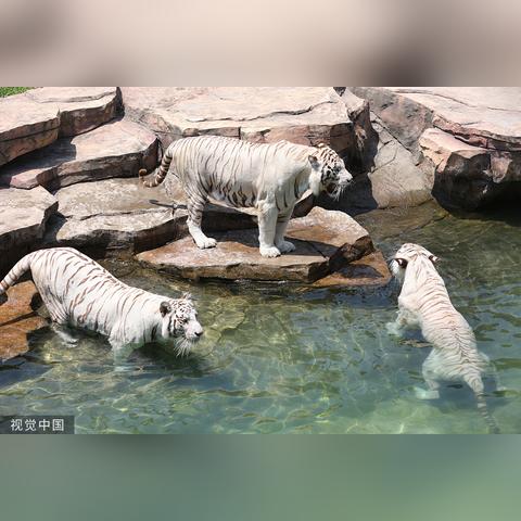 南通左视觉摄影长尾关键词有什么