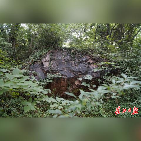 武汉市城建档案馆调取资料流程？