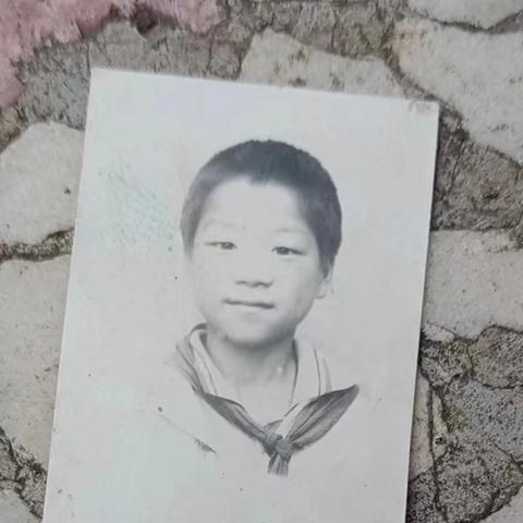 今年西安市的社保怎么交