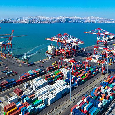 跨境电商为什么走海运