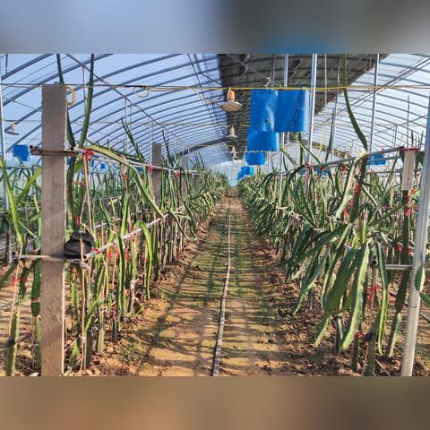 尉氏是河南哪个区