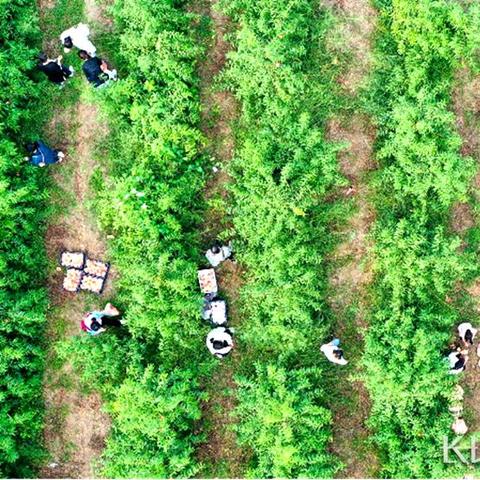 涉县到石家庄市火车的长尾关键词有哪些