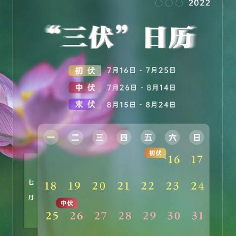 成都市医保在哪里转入的