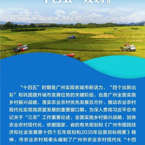【广州今日生猪价格】2025年4月11日广州生猪价格是多少