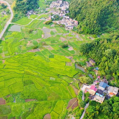 江西赣州市粮食生产的长尾关键词有什么