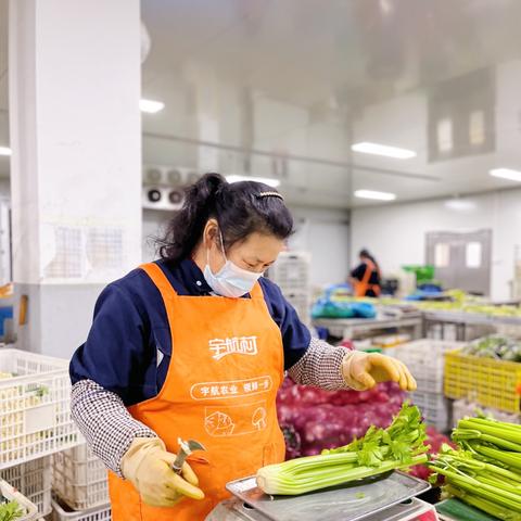 2025.11.24杭州今日气温变化情况