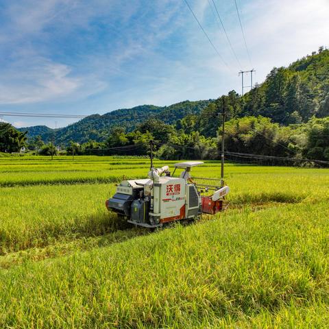 赣州市收稻谷的长尾关键词有什么