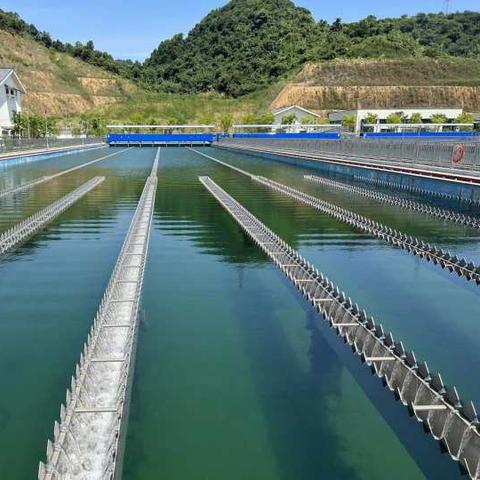 杭州余杭区闲林镇闲富北路一西湖公交怎么乘？
