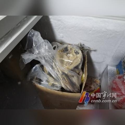 宁波市的空气污染怎么样