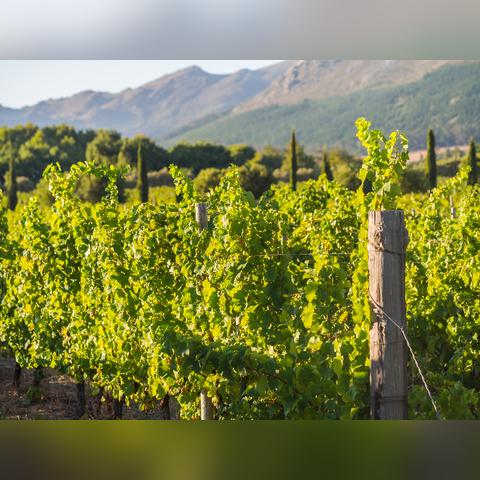 河南肥料研发的相关长尾关键词有哪些