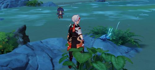 原神回声海螺怎么刷新的（原神海螺哪里多）