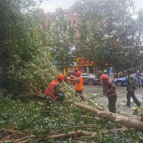 沈阳市沈河区街路相关长尾关键词有哪些