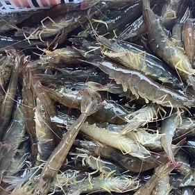 南通市高温费是多少