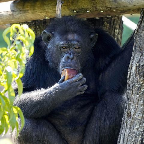 8月意大利天气的长尾关键词有哪些