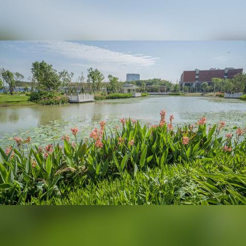 东莞市的废气工厂有哪些