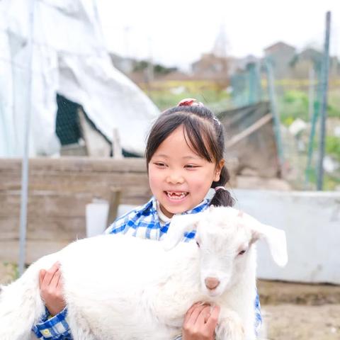 宁波市哪个厂招暑假工