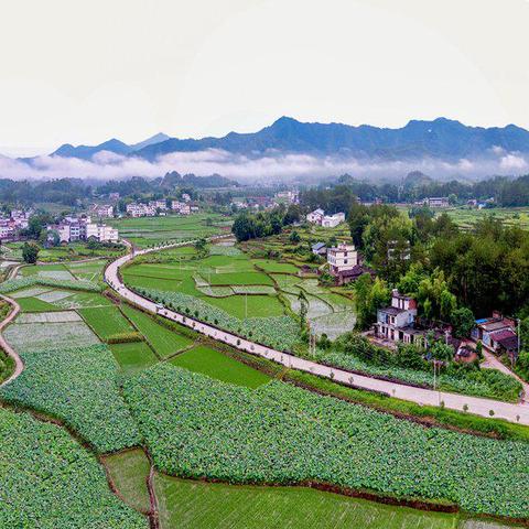 福建农村开什么店最好呢