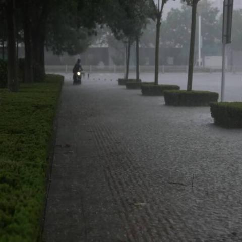 菏泽市有多少个乡镇村庄