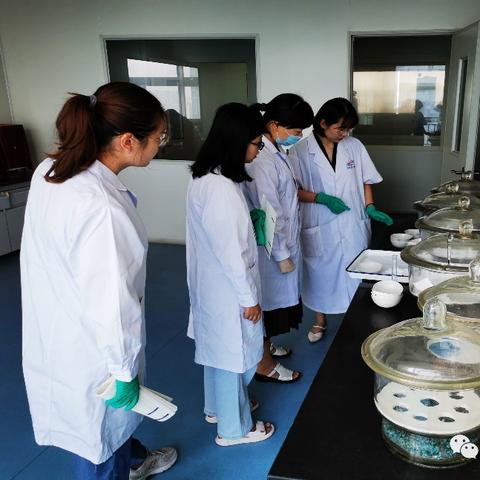 临沂市启航小学的长尾关键词有哪些