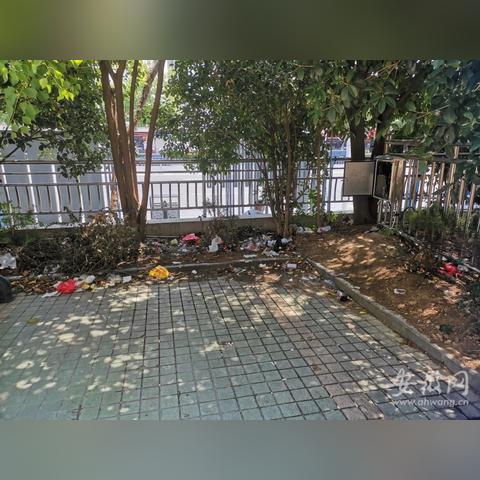 合肥市莲花路属于哪个区