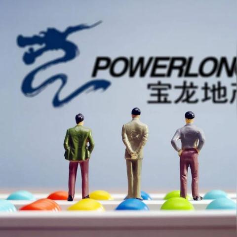 深圳宝龙兄弟厂怎么样求答案？