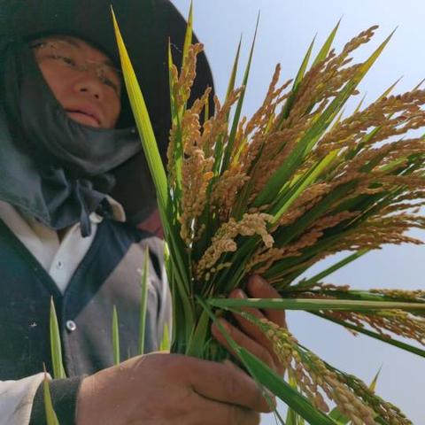 宁波市丰盈家具厂怎么样