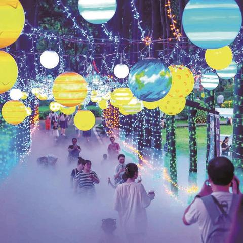 武汉市什么地方有樟树卖