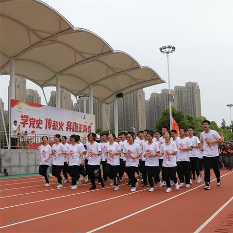 合肥市八中什么段位能进