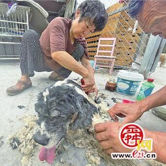济南市当兵地方补贴多少