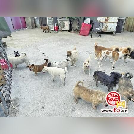 济南市本科生有什么补贴