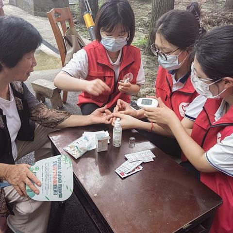 济南市最大乡镇是哪个村