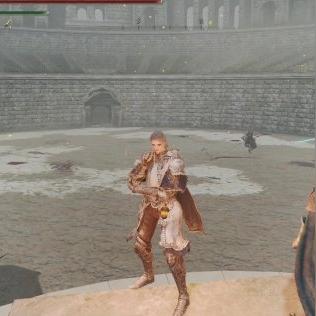 艾尔登法环攻略（艾尔登法环攻略，探索开放世界的秘密）