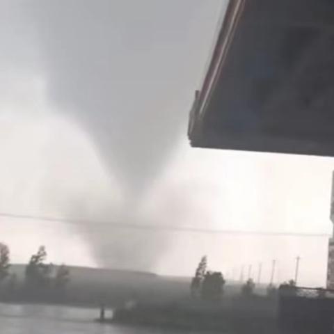 湛江到曲界县怎么走