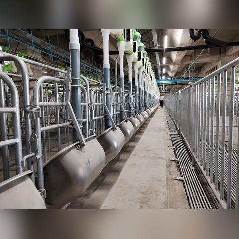 广州市最高层是多少层