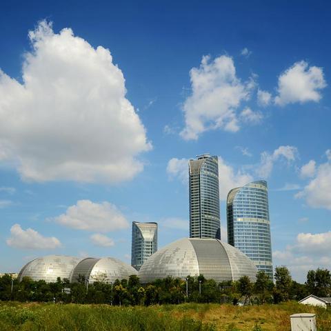 市民卡服务密码是什么？