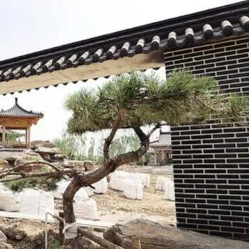 保定市莲池区城关的长尾关键词有什么