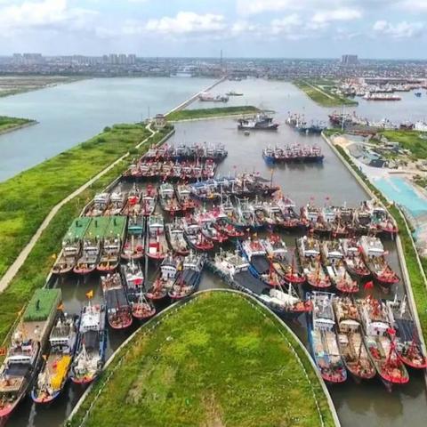 沪华海鲜大酒楼怎么样？